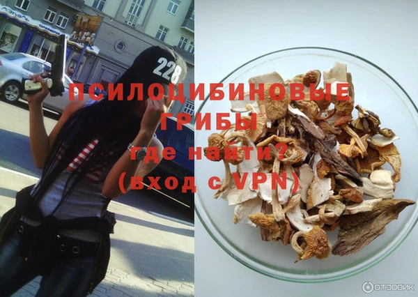 mdma Новозыбков