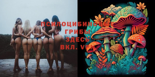 эйфоретик Нязепетровск