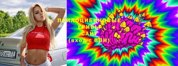 не бодяженный Няндома